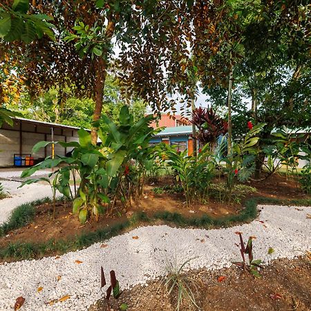 Rio Celeste Dreams Bijagua Zewnętrze zdjęcie